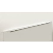 RT109SC.1/000/900 (RT009) (Ручка торцевая 900мм, матовый хром (20)